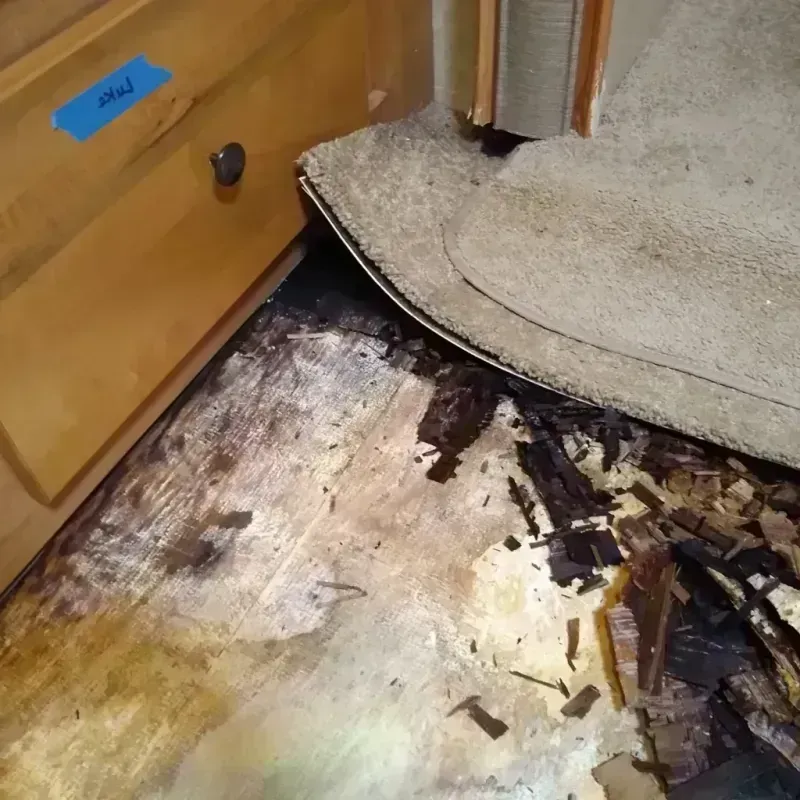 Best Wood Floor Water Damage Service in Randolph, ME